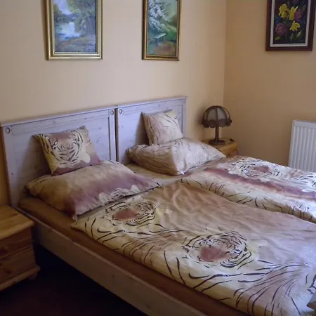 Apartmán One-bedroom In Heviz/balaton 18967 *